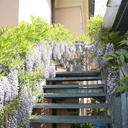 Hotel Grazia Cesenatico