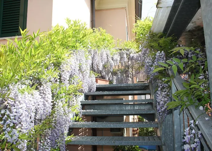 Hotel Grazia Cesenatico